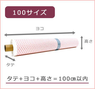 100サイズ